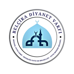 fatihcamii-bruxelles